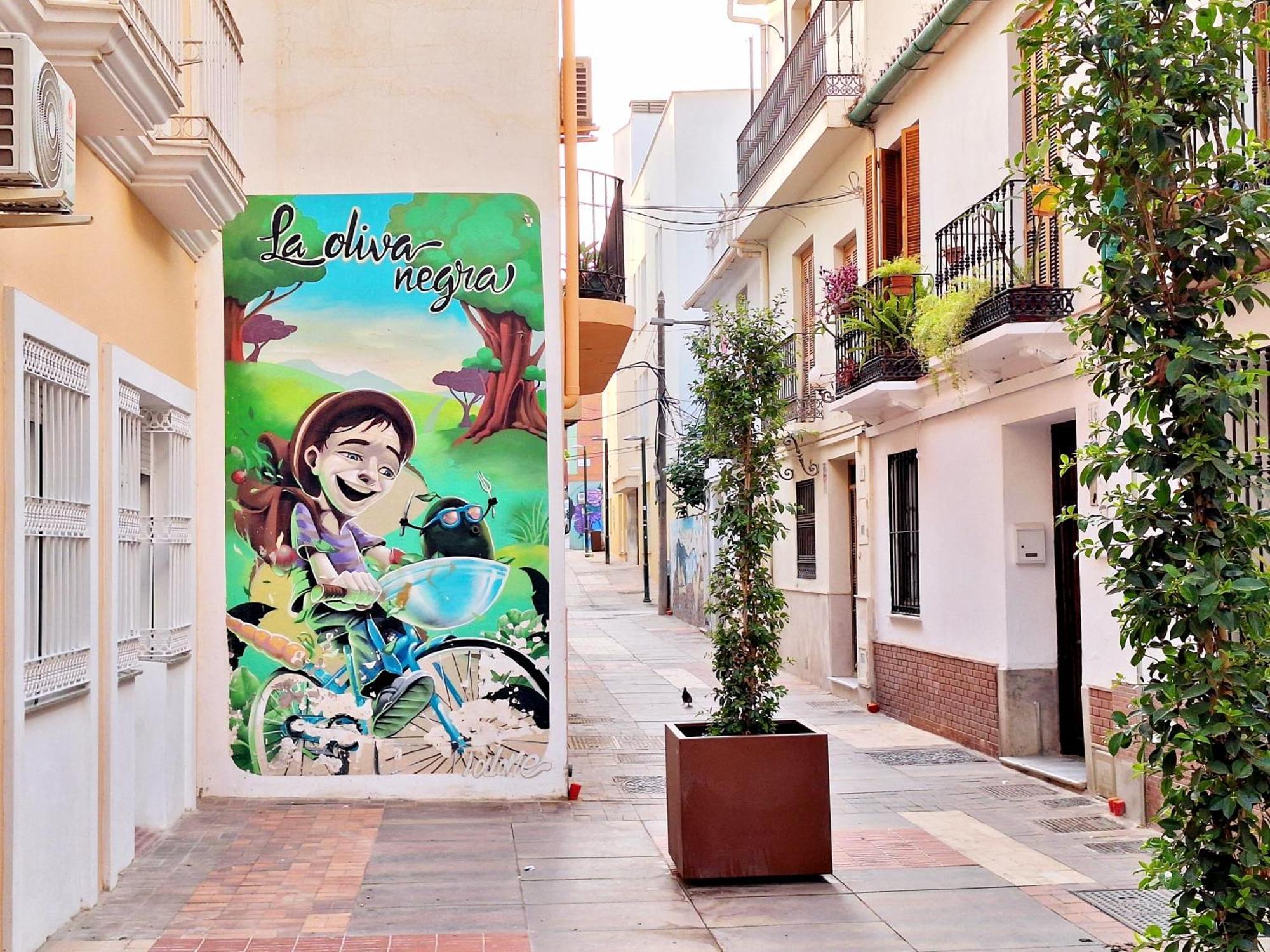 Sunny Centre Flats, 2 Options, With Balcony Or Terrace Malaga